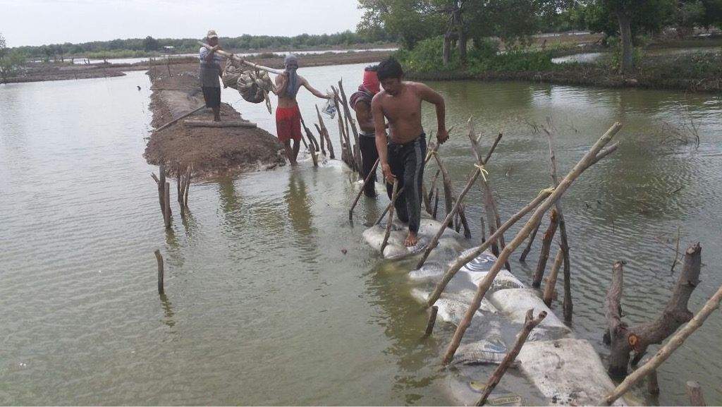 Mayat Siapa Ini? Ditemukan Tanpa Kaki Di Areal Tambak Mayat Siapa Ini? Ditemukan Tanpa Kaki Di Areal Tambak
