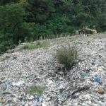 Cari Solusi Sampah, DLH Rangkul Warga Kepuh Besok