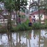 Innalillahi... Ibu Sedang Shalat, Anak Balitanya Tewas Kecebur Kolam