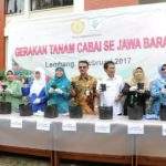 Cabai Mahal, Netty Ajak Masyarakat Tanam Pangan Sendiri