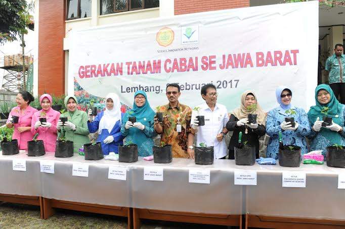 Cabai Mahal, Netty Ajak Masyarakat Tanam Pangan Sendiri Cabai Mahal, Netty Ajak Masyarakat Tanam Pangan Sendiri