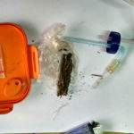 Bawa Sabu Dan Ganja, Pria Ini Diciduk Polisi Di Pom Bensin