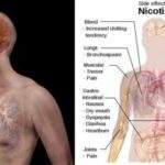 Lakukan 4 Langkah Mudah Bersihkan Nikotin Dalam Tubuh