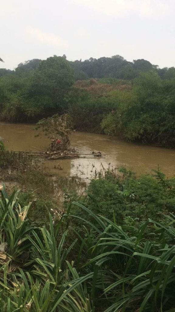 Mayat Perempuan Masih Pakai Jam Tangan Ditemukan Di Kali Cisaat