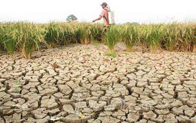 BMKG Memperkirakan Mei Adalah Musim Kemarau