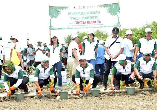 Cegah Abrasi, Wagub Jabar Inisiasi Tanam Mangrove di Pantai Utara Karawang