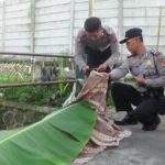 Pulang Tak Bawa Uang, Pria Ini Akhiri Hidupnya Lompat Dari Jembatan