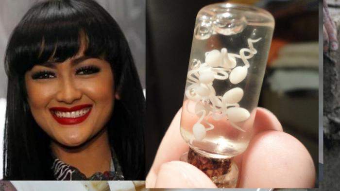 Parah!! Wikipedia Tulis Tanggal Kematian Jupe Parah!! Wikipedia Tulis Tanggal Kematian Jupe