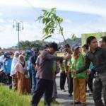 Peringati HLHS, Takengon Tanam 1.000 Pohon