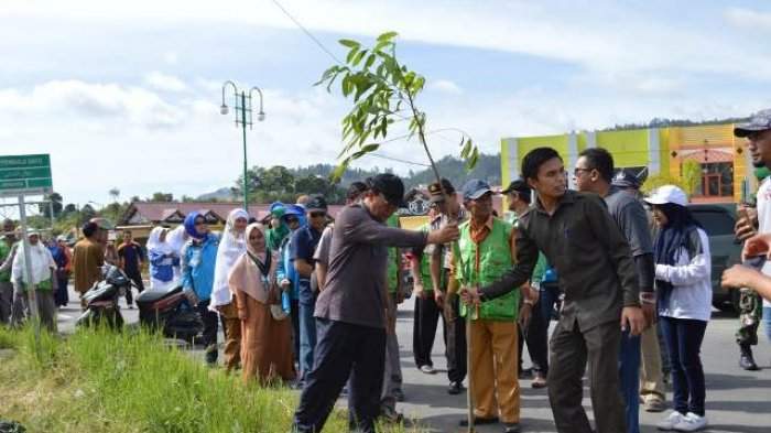 Peringati HLHS, Takengon Tanam 1.000 Pohon