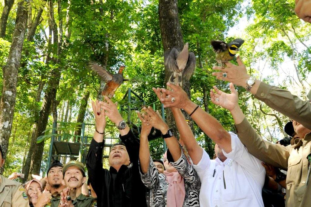 Pertahankan 'Mega Bird Diversity', Jabar Kampanyekan Pelestarian Burung Liar Pertahankan 'Mega Bird Diversity', Jabar Kampanyekan Pelestarian Burung Liar