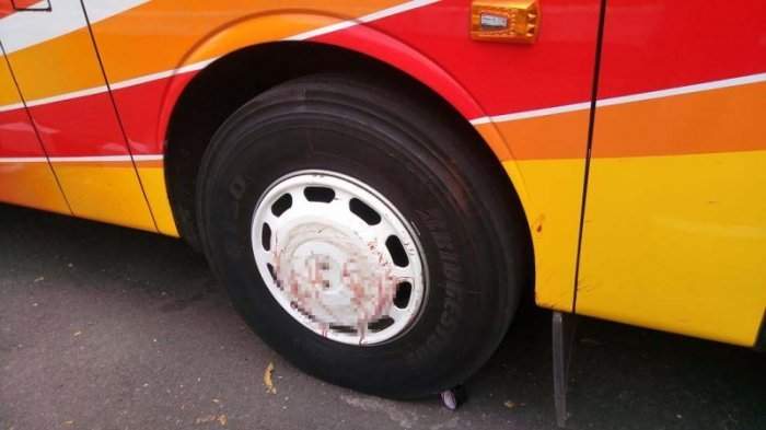 Lawan Arus, Erni Tewas Dilindas Bus