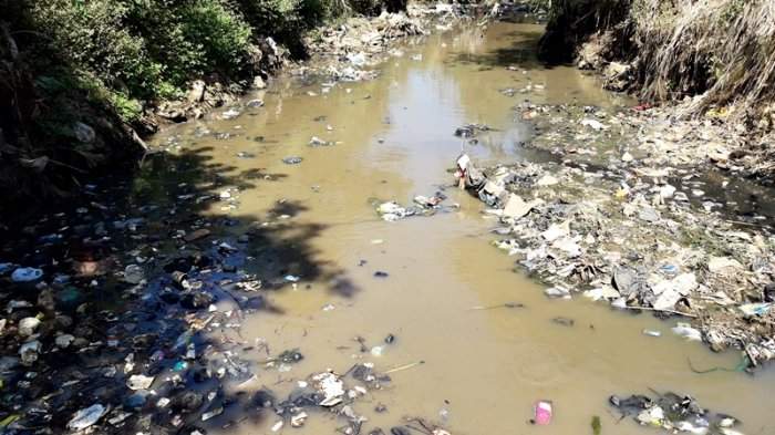 Hanya Ikan Sapu-sapu Yang Sanggup Hidup di Sungai Cikeruh