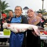 Kreativitas, Kunci Meningkatkan Konsumsi Ikan