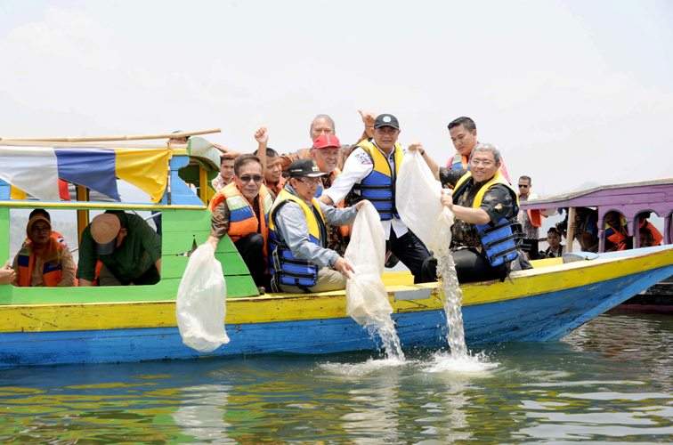 Penuhi Kebutuhan Masyarakat, Aher Rajin 'Restocking' Ikan di Jatigede Penuhi Kebutuhan Masyarakat, Aher Rajin 'Restocking' Ikan di Jatigede