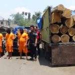Polisi Tangkap Empat Pelaku Penebangan Kayu Jati Liar