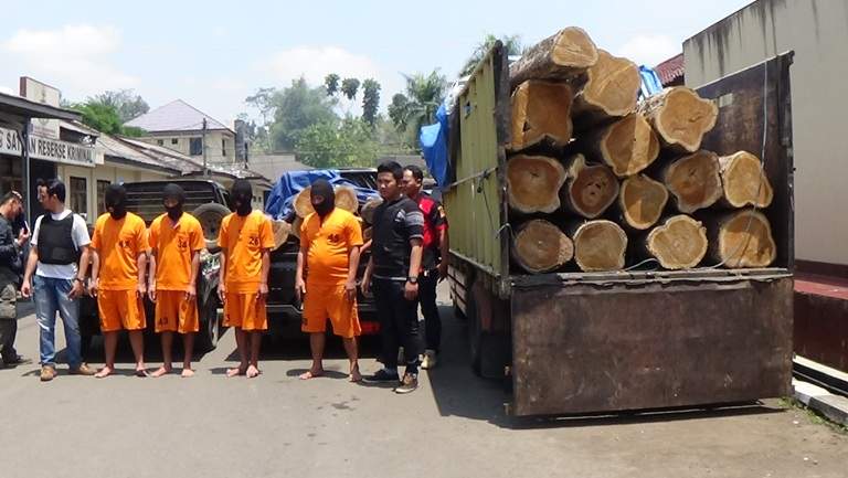 Polisi Tangkap Empat Pelaku Penebangan Kayu Jati Liar