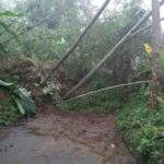 Longsor Tebing Setinggi 20 Meter di Tasik Lumpuhkan Jalan