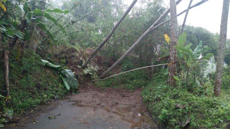 Longsor Tebing Setinggi 20 Meter di Tasik Lumpuhkan Jalan