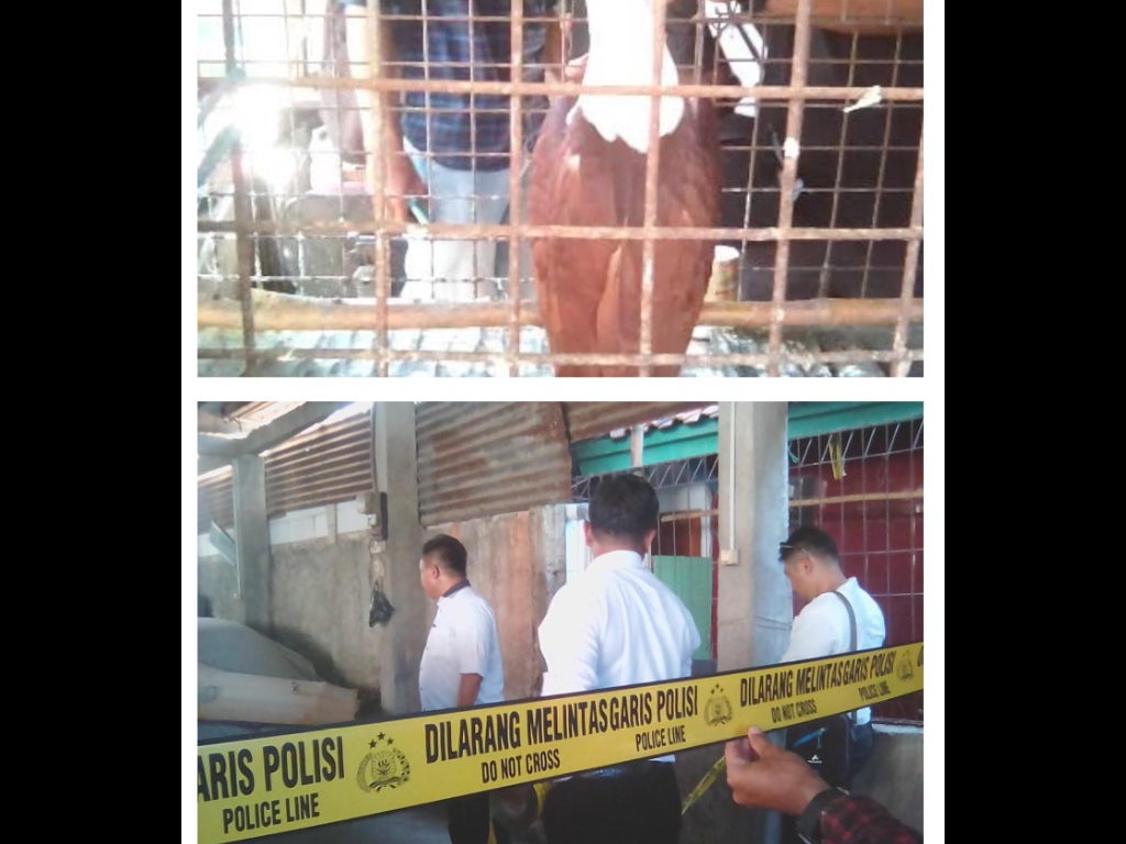 Sat Narkoba Temukan Satwa Lindung Saat Razia Obat Terlarang