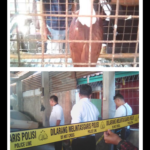 Sat Narkoba Temukan Satwa Lindung Saat Razia Obat Terlarang