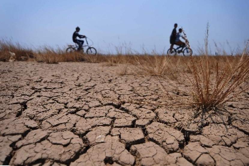Delapan Kokab di Jabar Siaga Kekeringan Delapan Kokab di Jabar Siaga Kekeringan