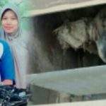 Viral Di Medsos Karyawan PT Mulia Keramik Tergiling Mesin, DPRD Desak Diusut Tuntas