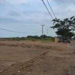 Pajak MBLB Rendah, Aktifis Desak Penegak Hukum Bentuk Satgas Khusus