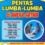 Pentas Lumba-lumba dan Aneka Satwa Lainnya Masih Dibuka
