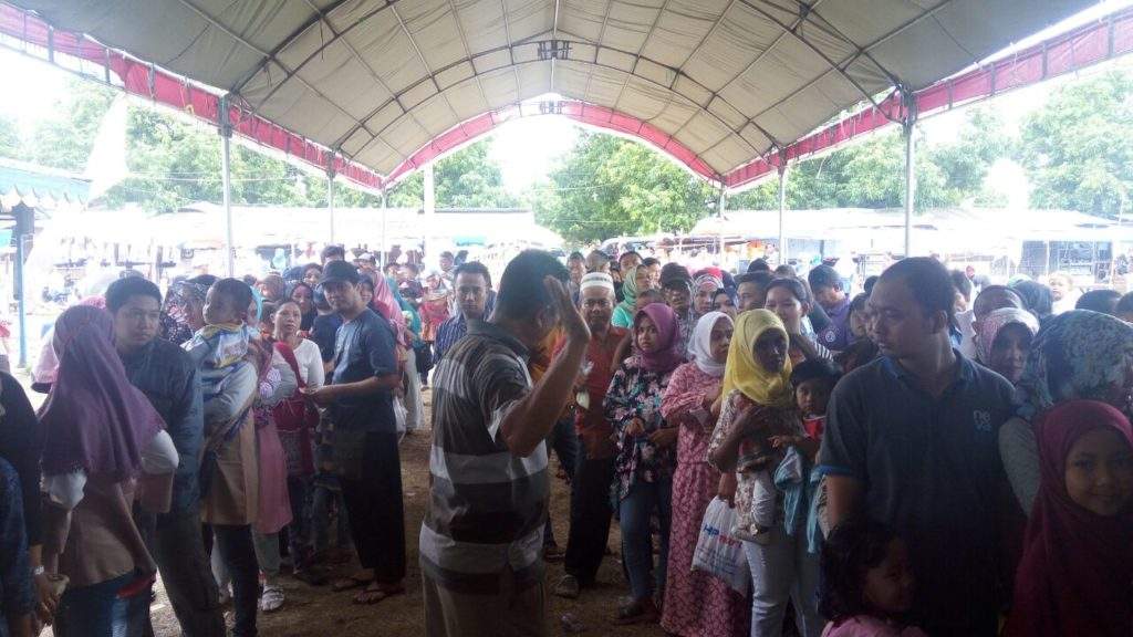 Pentas Lumba-lumba Ternyata Bikin Ketagihan, Penasaran Ayo Nonton!