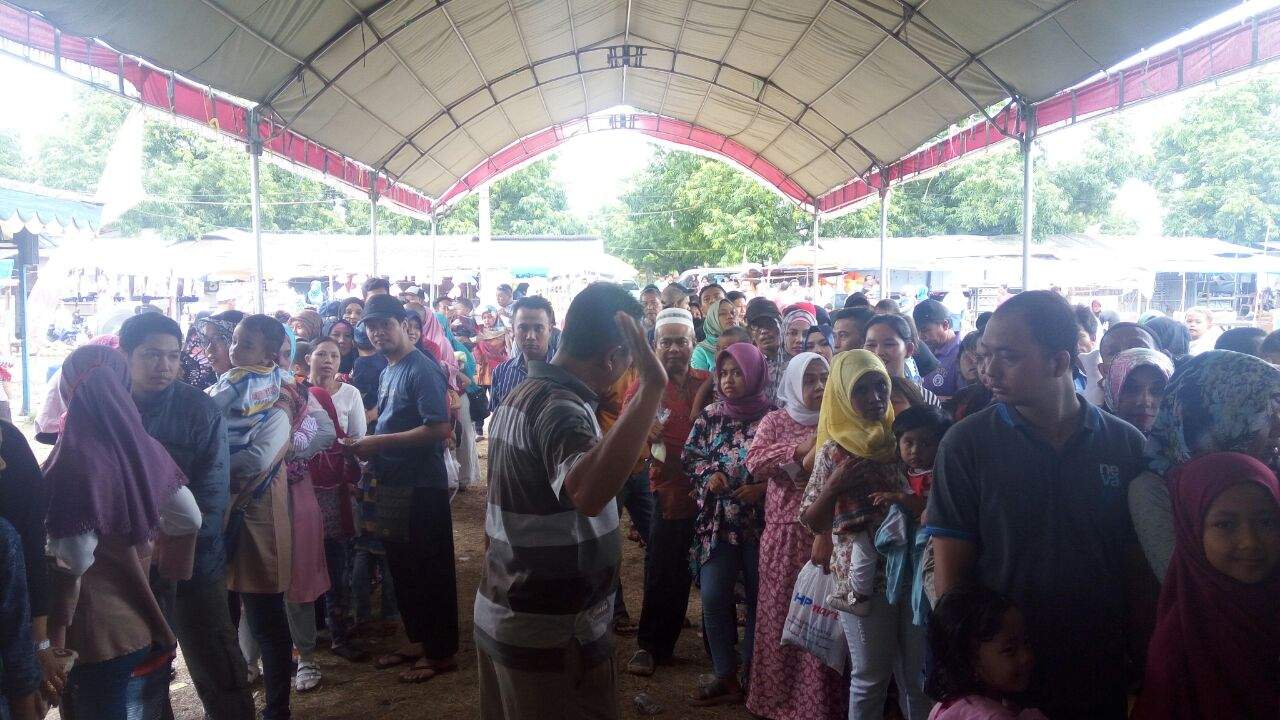 Pentas Lumba-lumba Ternyata Bikin Ketagihan, Penasaran Ayo Nonton!