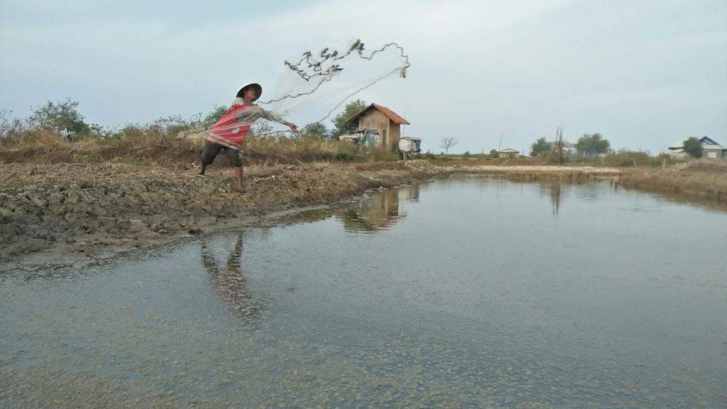 BPN dan DPKPP Segera Tindaklanjuti, Tanah Timbul Citemu BPN dan DPKPP Segera Tindaklanjuti, Tanah Timbul Citemu