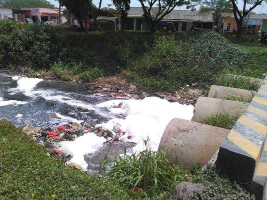 Ada Buih Di Kali Sepak, Diduga Oknum Perusahaan Buang Limbah B3