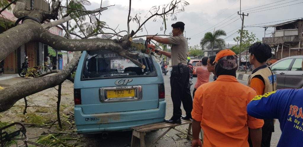 Angin Besar Landa Kabupaten Cirebon, Dua Pohon Tumbang