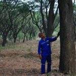 Indocement, Selain Tengah Kembangkan Embung Kini Reklamasi Zona Penyangga Juga