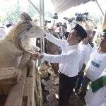 Santri Tani Milenial, Upaya Wujudkan Lumbung Pangan Dunia