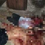 Karena Cemburu, Suami Nekat Habisi Nyawa Istrinya