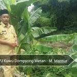 Waswas Dompyong Banjir, PJ Kuwu Minta BBWS Keruk Sungai Ciberes