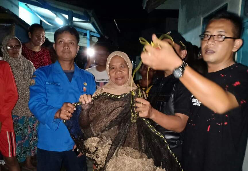 Lima PJU Diperbaiki, Sarang Tawon Raksasa Di Dompyong Wetan Dibasmi