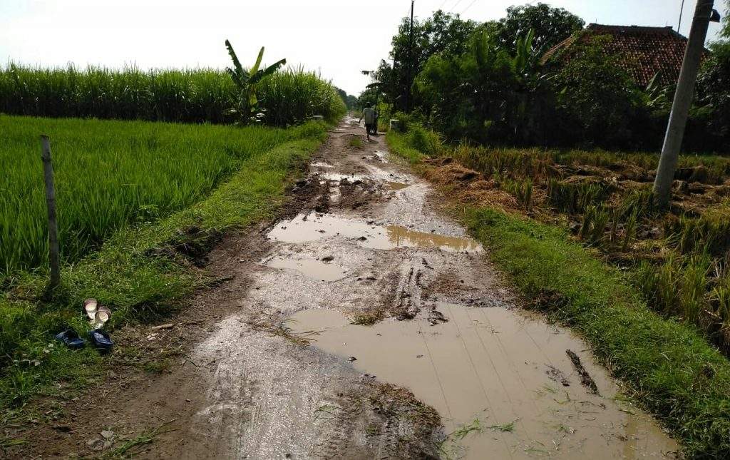 Perbaiki Segera! Jalan Gembongan - Karangsembung 3 Tahun Dibiarin Rusak Parah