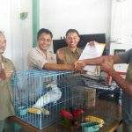 BKSDA Amankan Lima Satwa Dilindungi Di Kolam Renang Jempol Ciledug