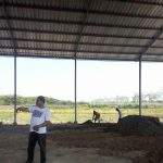 Ini Rincian Dana Desa 2019 Tahap II Di Desa Getrakmoyan