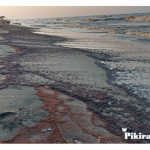 Pipa Pertamina Diduga Bocor, Cemari Laut Karawang