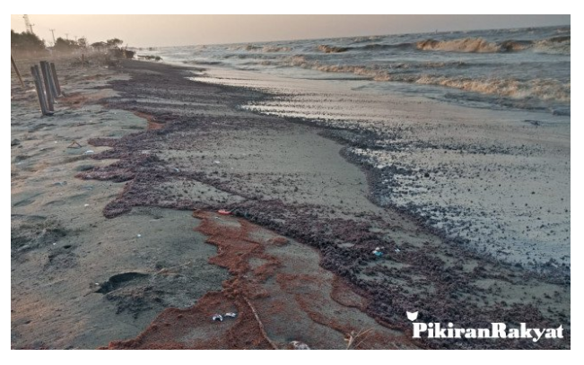 Pipa Pertamina Diduga Bocor, Cemari Laut Karawang
