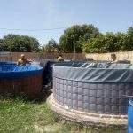 Desa Tambelang Kembangkan Budidaya Lele Pakai Dana Desa