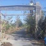 Ini Aneka Kegiatan Hasil DD Tahap II Di Desa Ciledug Wetan