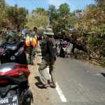 Pohon Raksasa Tumbang, Jalur Cirebon - Bandung Via Sumedang Lumpuh!
