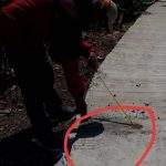 Kongkalikong Dinas dan Konsultan Ancam Rugikan Negara