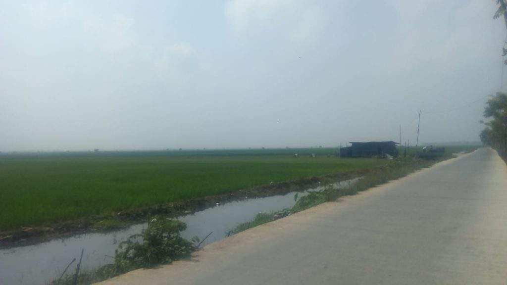 Warga Segarjaya Tolak Keras Rencana Pembuatan Kandang Ayam