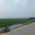 Warga Segarjaya Tolak Keras Rencana Pembuatan Kandang Ayam